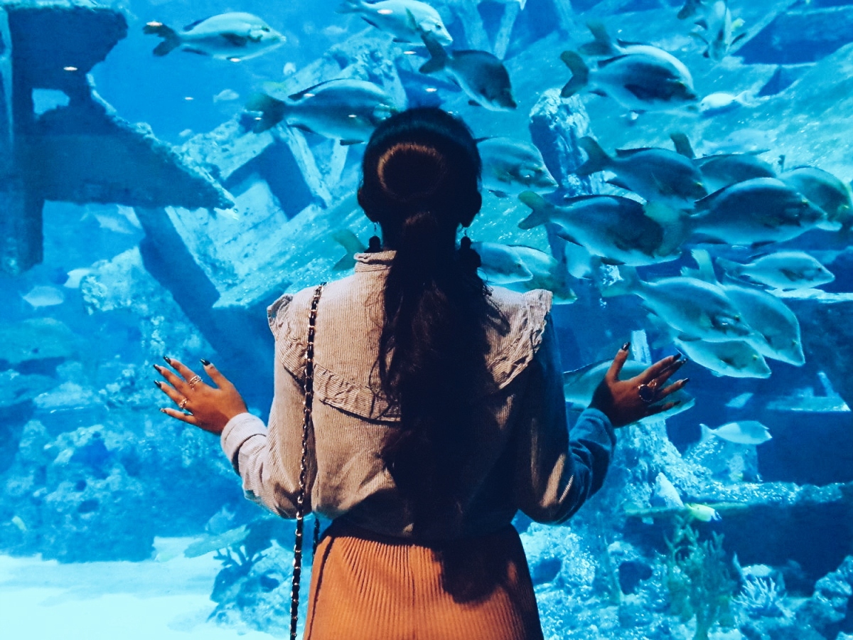S.E.A. Aquarium at Resorts World Sentosa