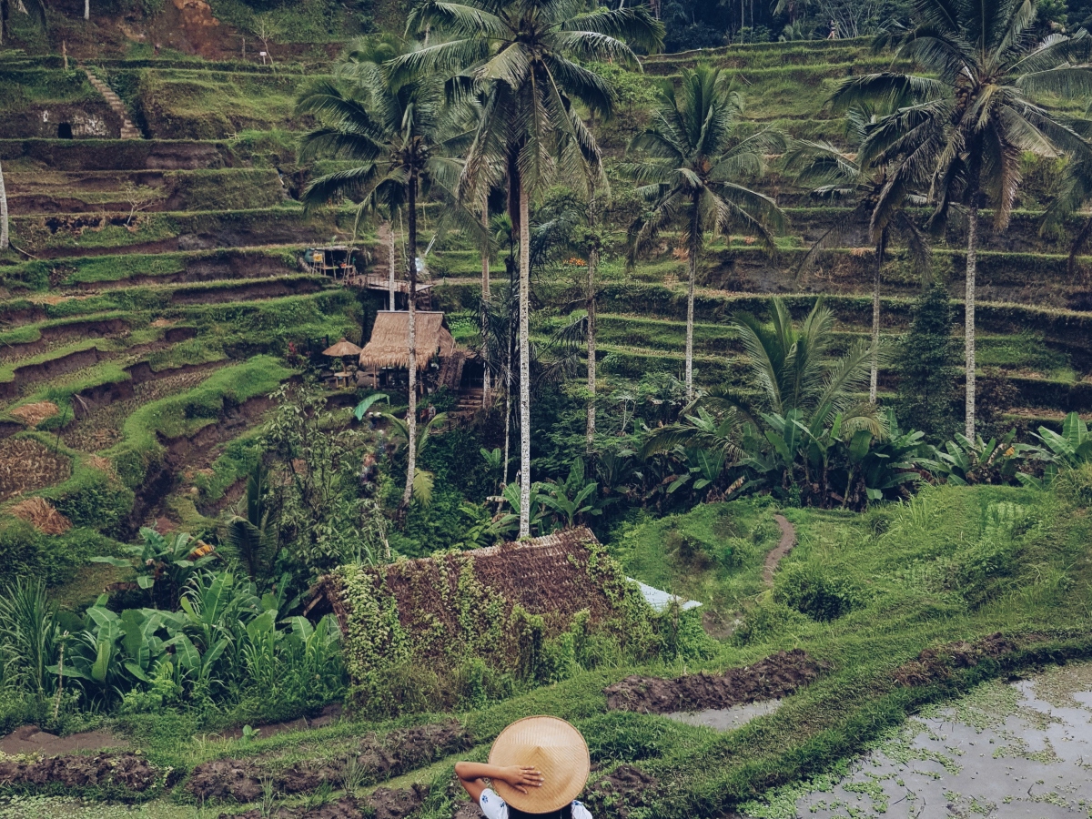A Guide to Ubud: Eat, Explore, Love