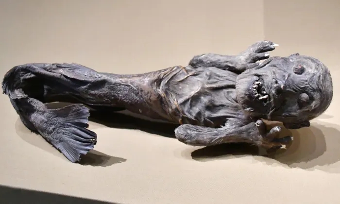 Must See Objects in the British Museum Mermaid